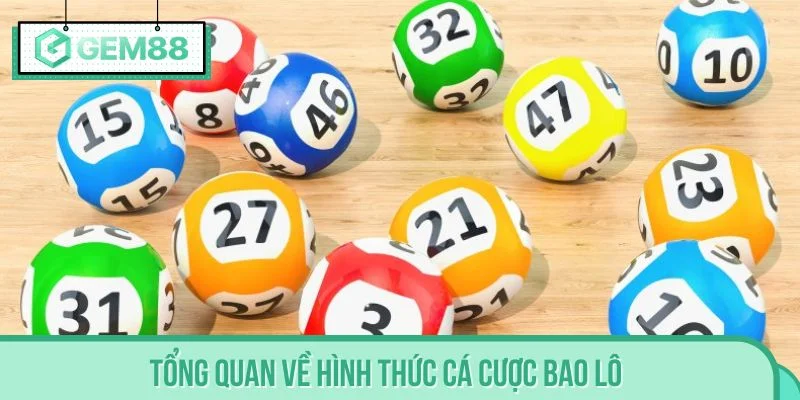Tổng quan về hình thức cá cược bao lô