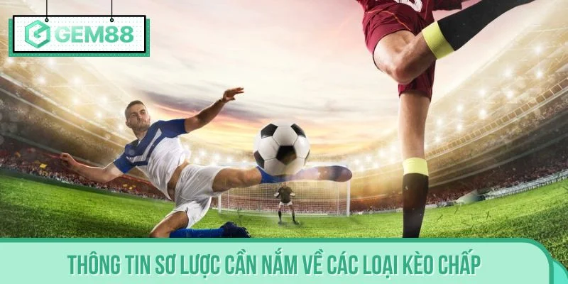 Thông tin sơ lược cần nắm về các loại kèo chấp