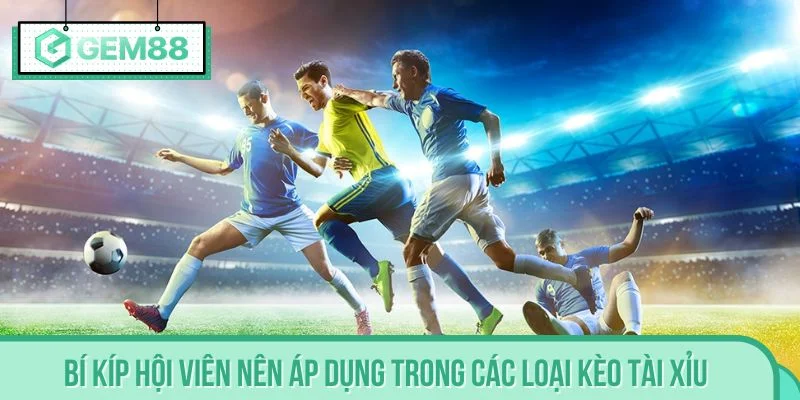 Bí kíp hội viên nên áp dụng trong các loại kèo tài xỉu