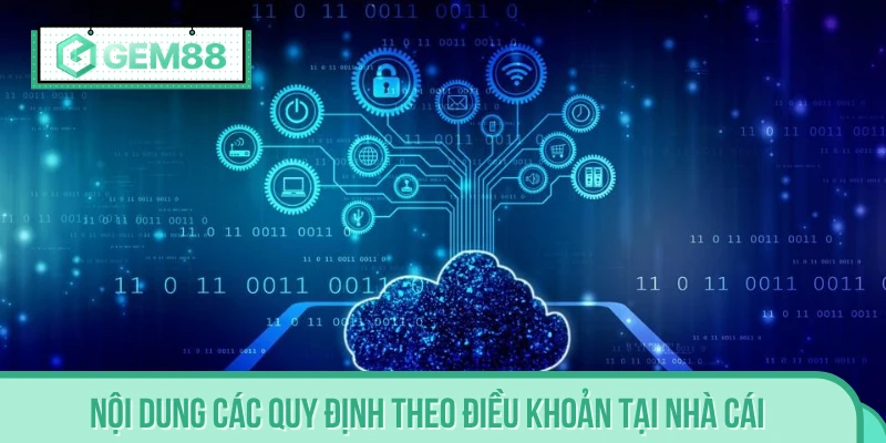 Chi tiết về điều khoản này tại nền tảng