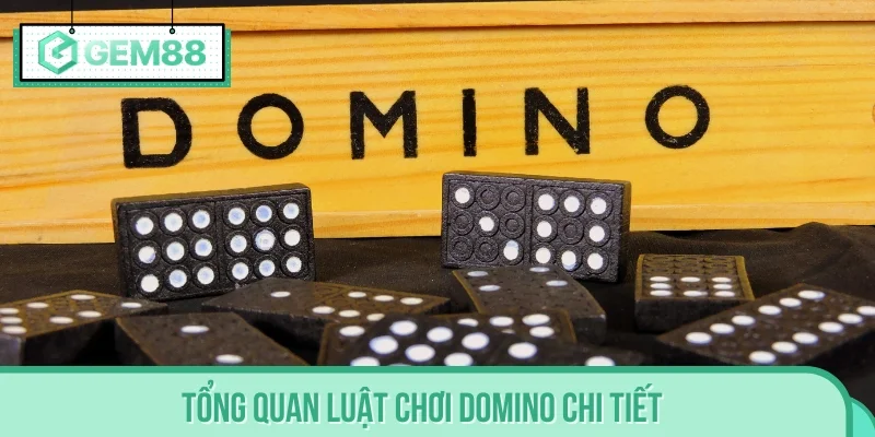 Tổng quan luật chơi Domino chi tiết dành cho Newbie