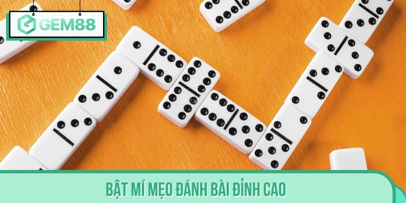 Bật mí mẹo đánh bài đỉnh cao giúp người chơi thắng lớn
