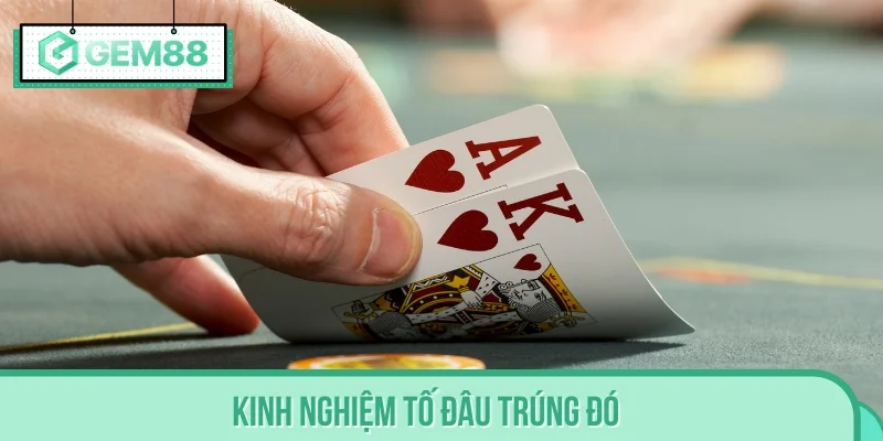 Bật mí kinh nghiệm giúp người chơi tố đâu trúng đó